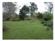 Wingham NSW 2429