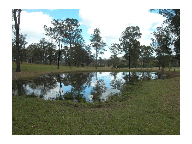 Wingham NSW 2429