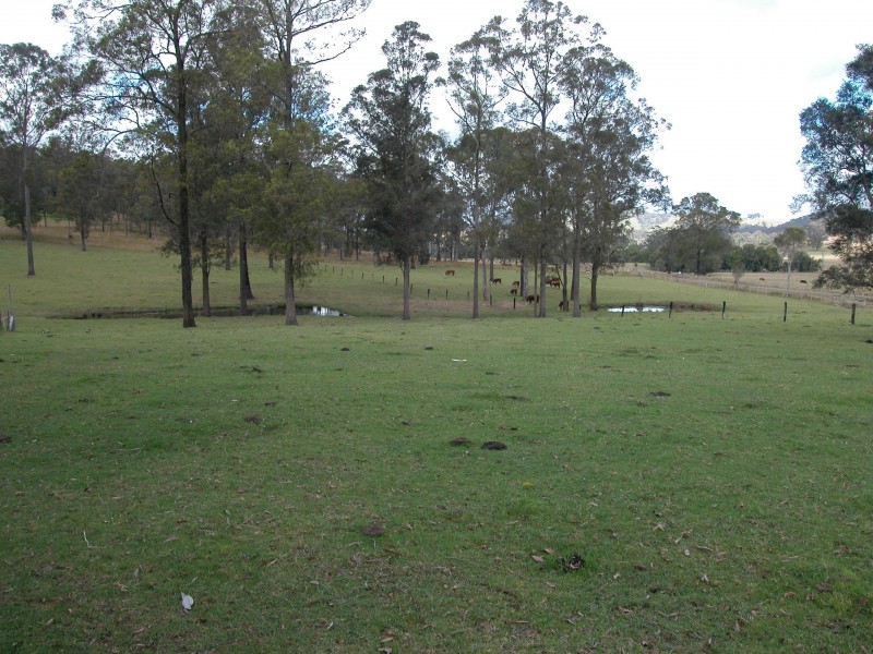 Wingham NSW 2429