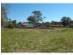 Wingham NSW 2429
