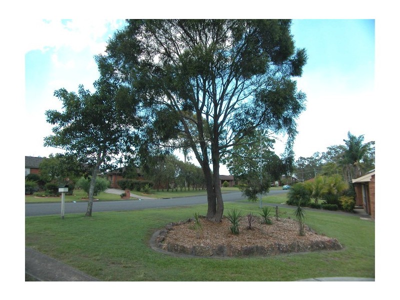 Wingham NSW 2429