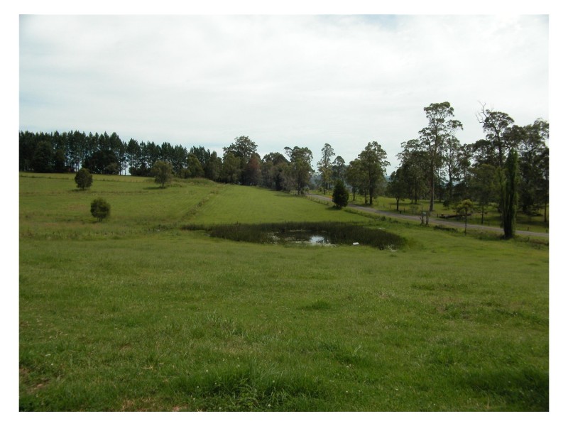 Killabakh NSW 2429