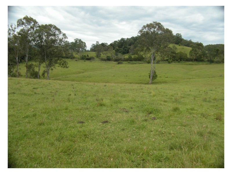 Caparra NSW 2429