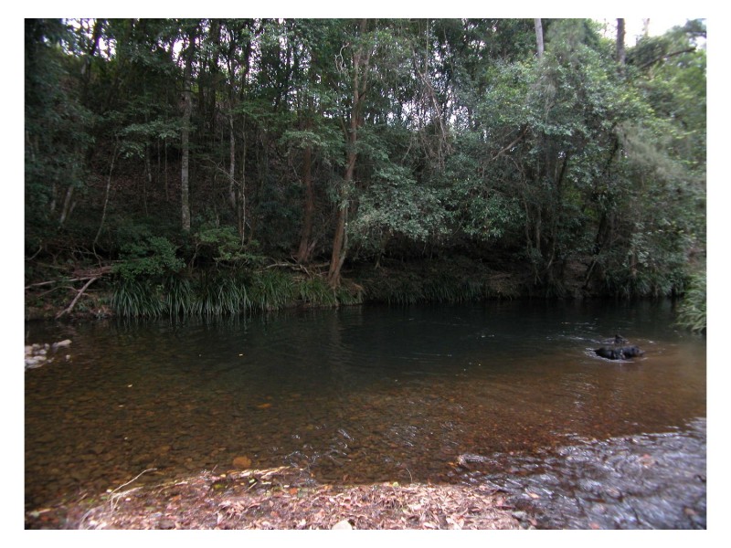 Caparra NSW 2429