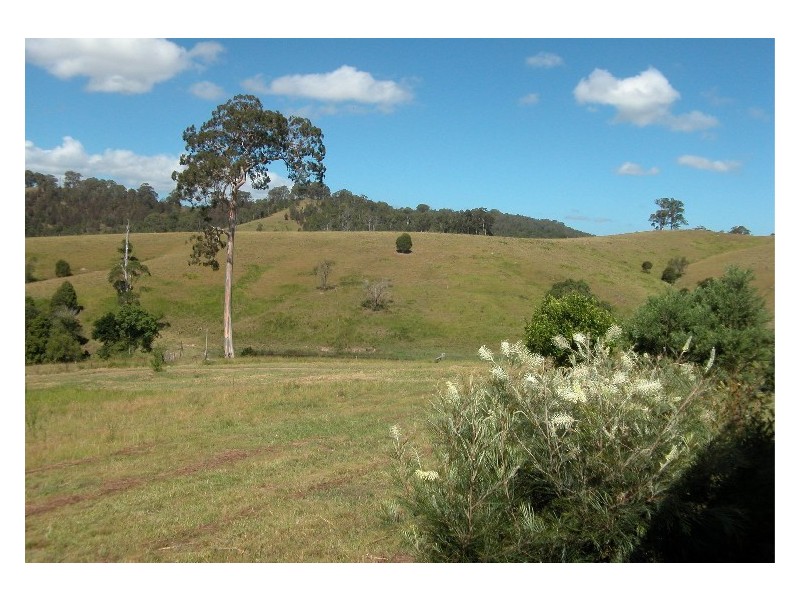 Krambach NSW 2429