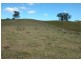 Krambach NSW 2429