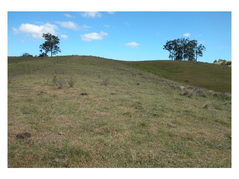 Krambach NSW 2429