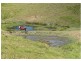 Krambach NSW 2429