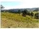 Krambach NSW 2429