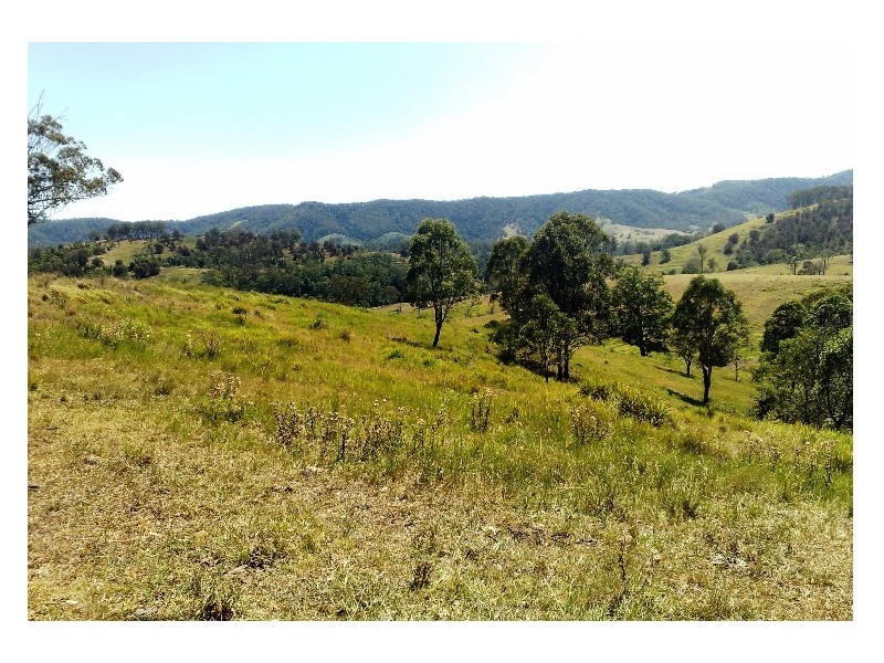 Krambach NSW 2429