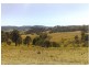 Krambach NSW 2429