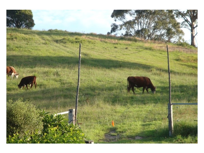 Krambach NSW 2429