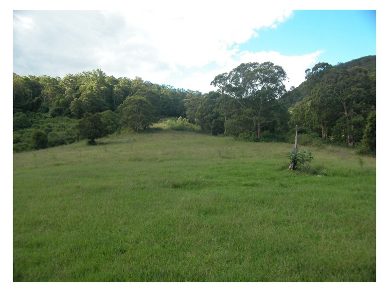 Mount George NSW 2424