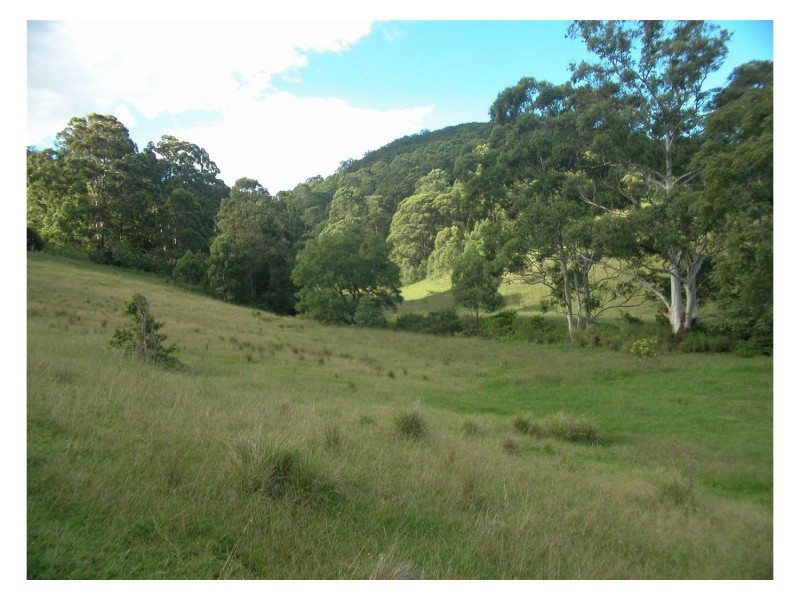 Mount George NSW 2424