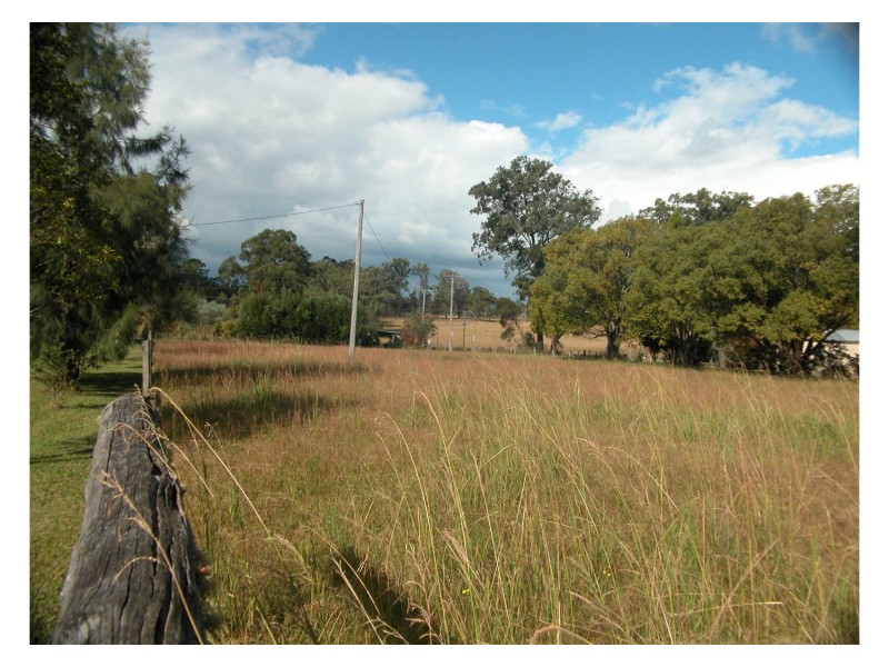 Cedar Party NSW 2429