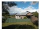 Cedar Party NSW 2429
