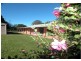 Wingham NSW 2429