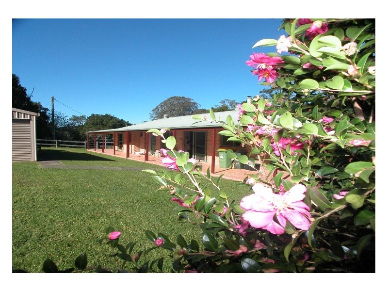 Wingham NSW 2429