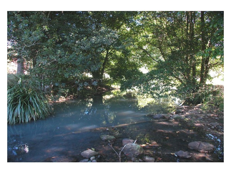 Wingham NSW 2429