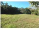 Wingham NSW 2429