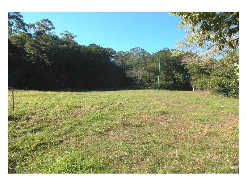 Wingham NSW 2429