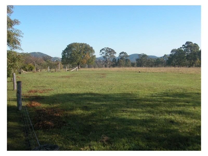 Wingham NSW 2429