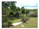 Wingham NSW 2429