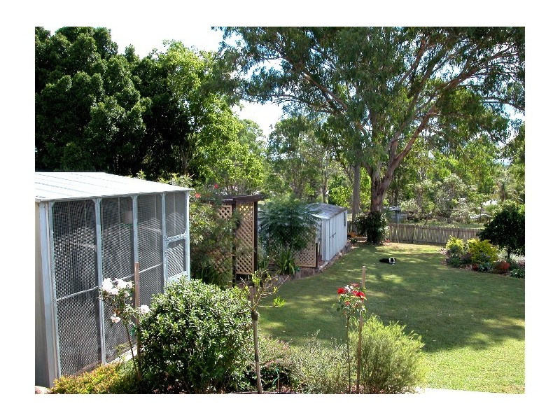 Wingham NSW 2429