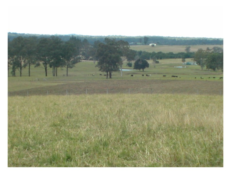 Wingham NSW 2429