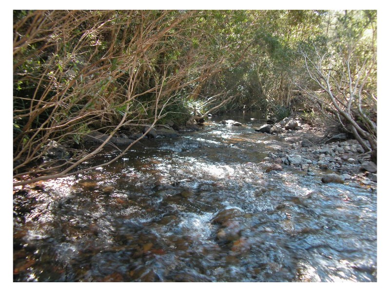 Wherrol Flat NSW 2429