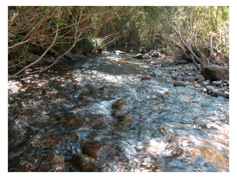 Wherrol Flat NSW 2429