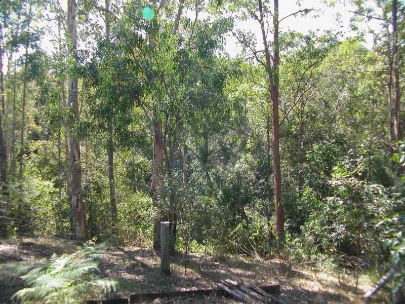 Wherrol Flat NSW 2429