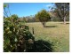 Burrell Creek NSW 2429
