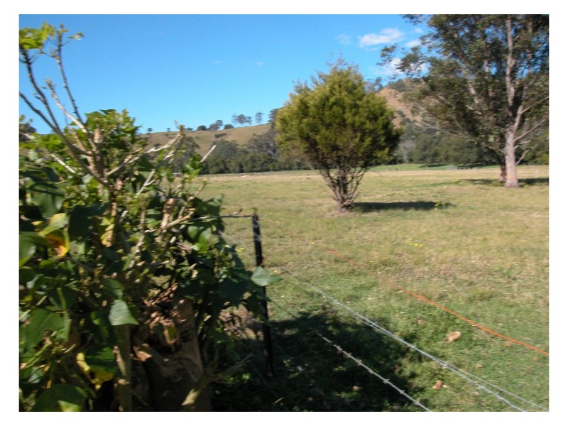 Burrell Creek NSW 2429