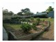 Wingham NSW 2429