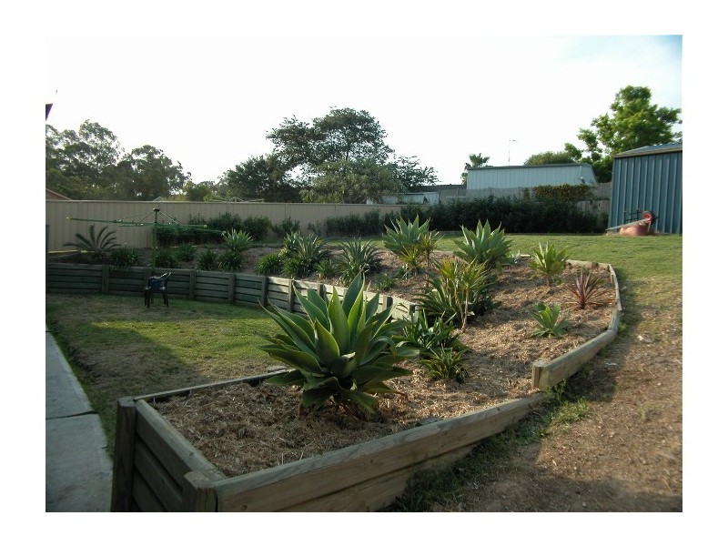 Wingham NSW 2429