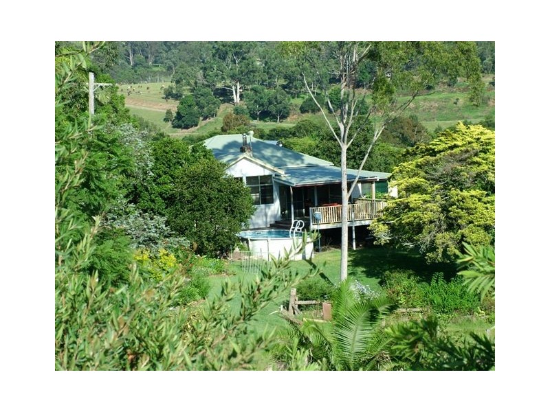 Kimbriki NSW 2429