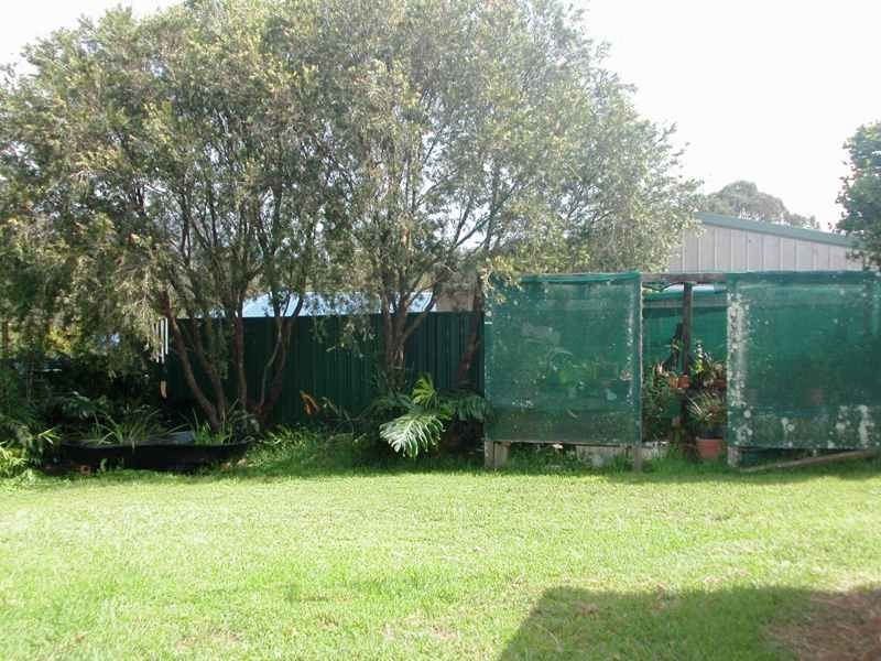 Wingham NSW 2429