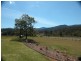Mount George NSW 2424