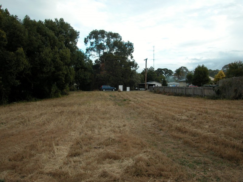 Wingham NSW 2429
