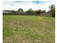 Wingham NSW 2429