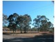 Wingham NSW 2429