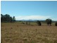 Wingham NSW 2429