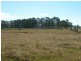 Wingham NSW 2429