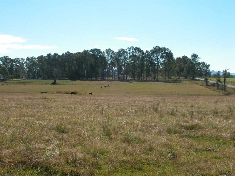 Wingham NSW 2429