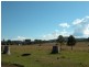 Wingham NSW 2429