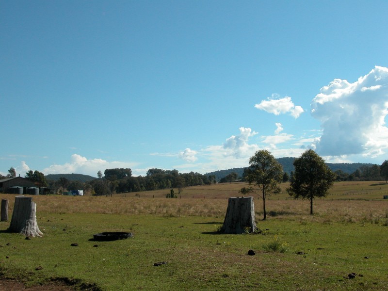 Wingham NSW 2429