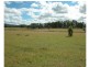 Wingham NSW 2429