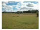 Wingham NSW 2429