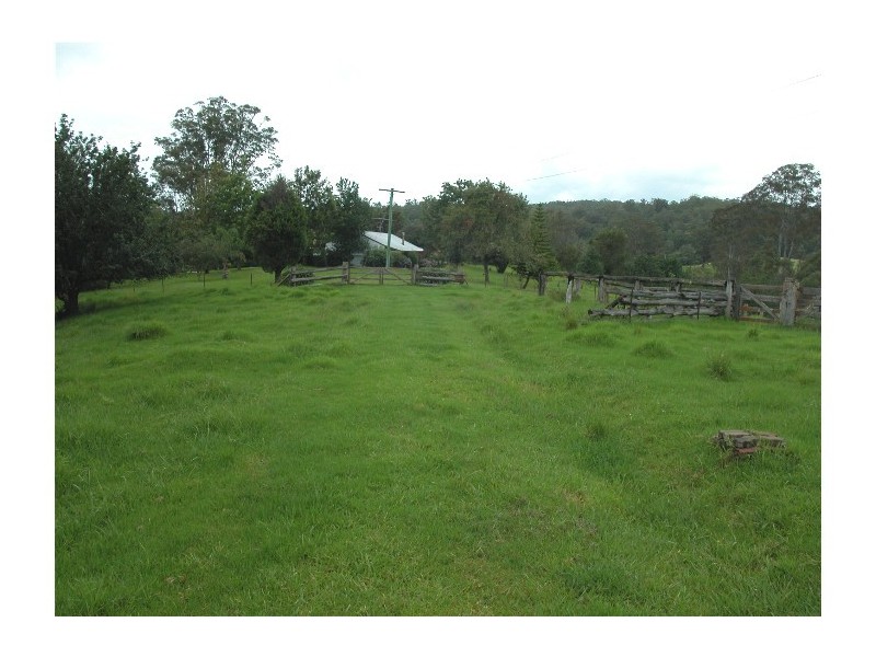 Elands NSW 2429